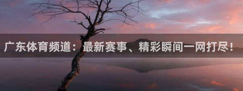 广东体育频道：最新赛事、精彩瞬间一网打尽！