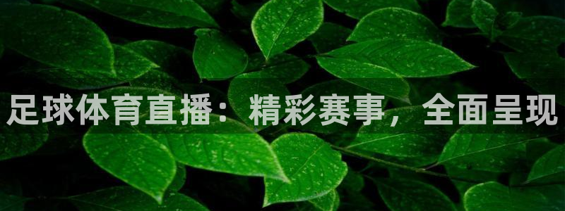 足球体育直播：精彩赛事，全面呈现