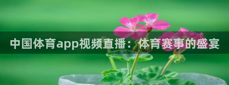 中国体育app视频直播：体育赛事的盛宴