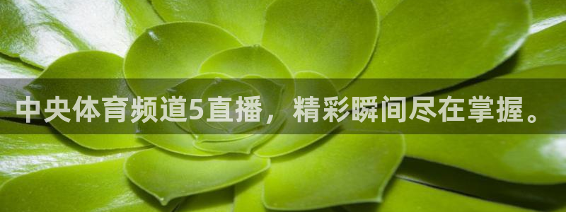 中央体育频道5直播，精彩瞬间尽在掌握。