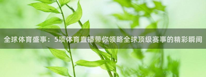 全球体育盛事：5项体育直播带你领略全球顶级赛事的精彩瞬间