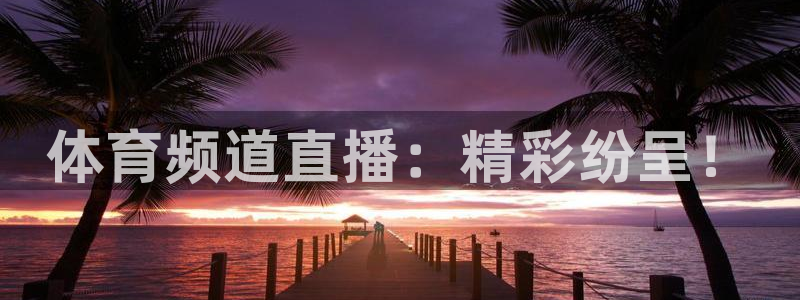 体育频道直播：精彩纷呈！