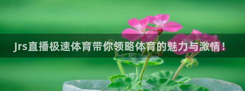 Jrs直播极速体育带你领略体育的魅力与激情！