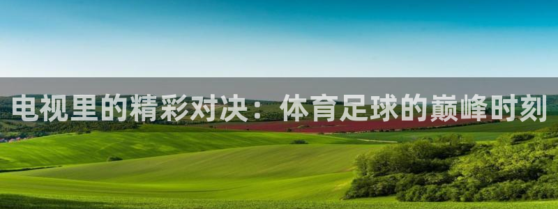 电视里的精彩对决：体育足球的巅峰时刻