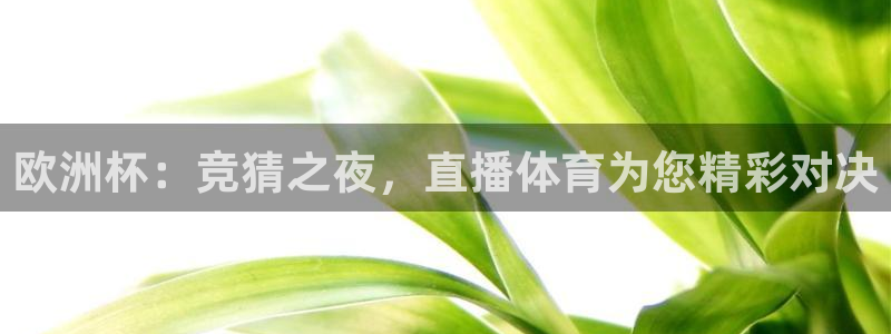欧洲杯：竞猜之夜，直播体育为您精彩对决