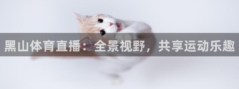 黑山体育直播：全景视野，共享运动乐趣